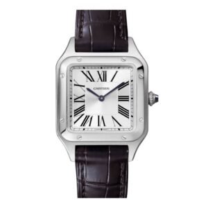 Cartier Dumont Noir Hommes